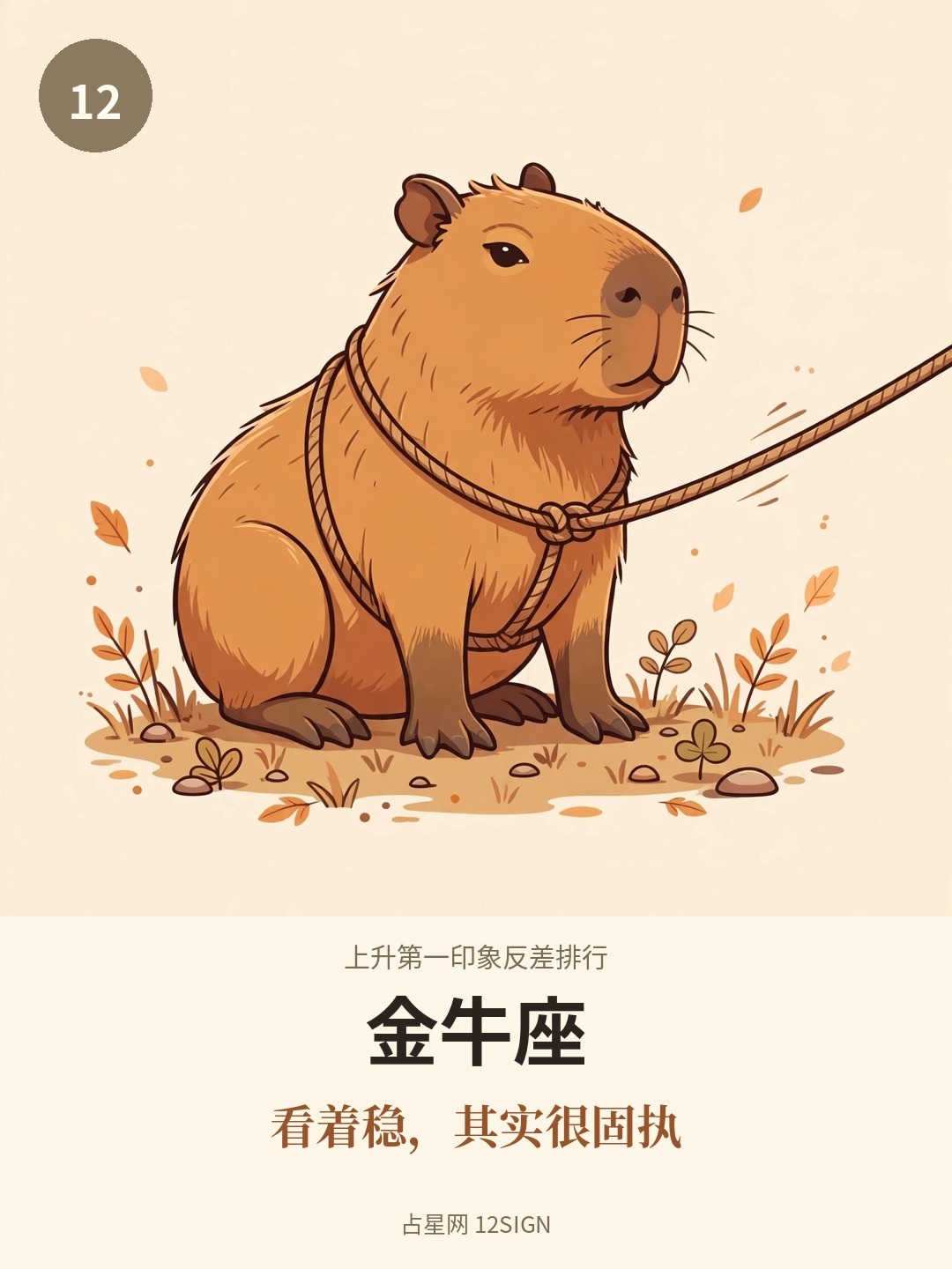 上升第一印象反差排行 12/12