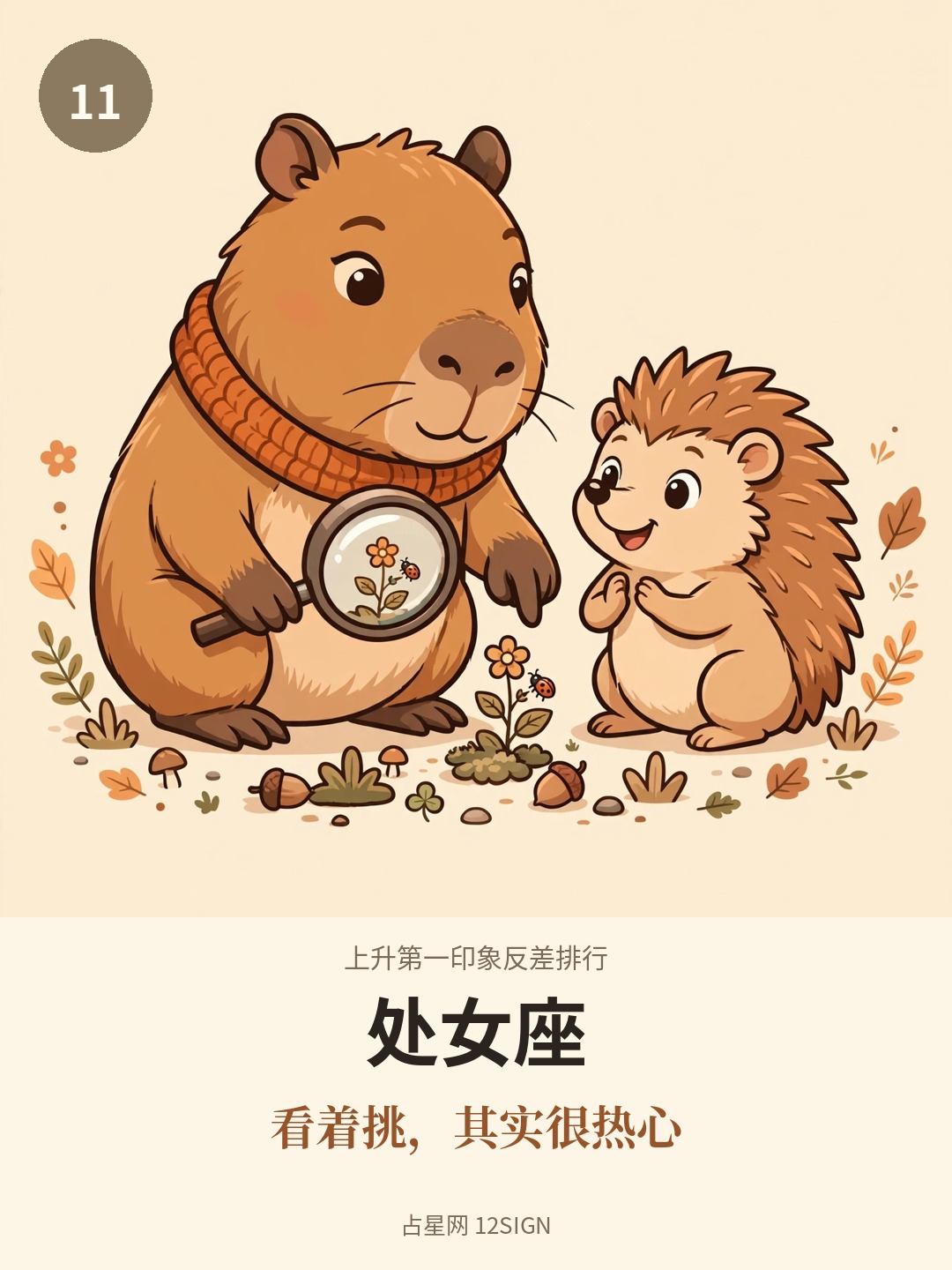 上升第一印象反差排行 11/12